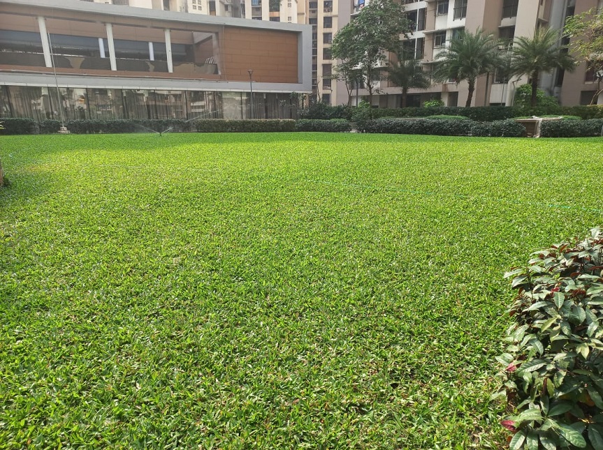 Greenscape Creation